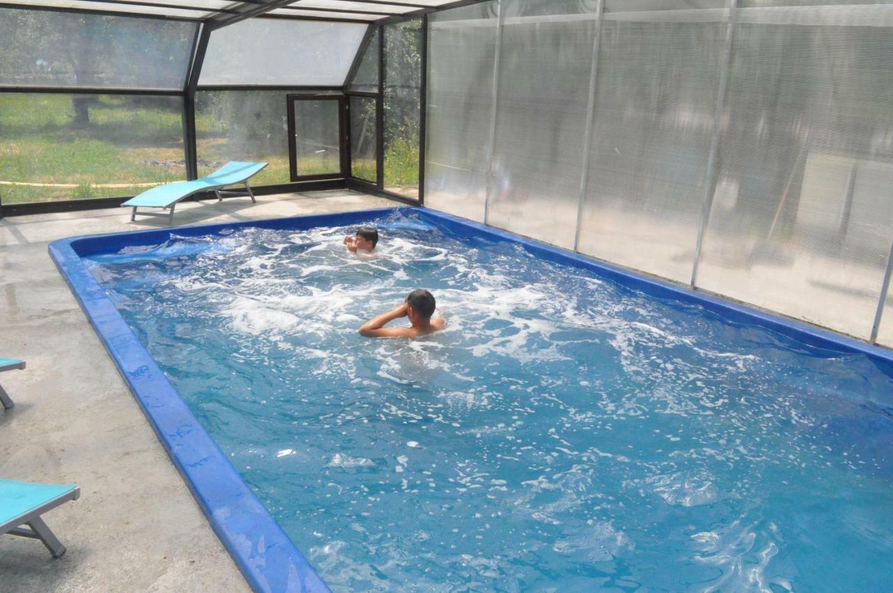 Cabana Iza Hotell Bîrsana Exteriör bild