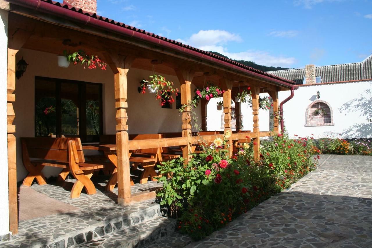 Cabana Iza Hotell Bîrsana Exteriör bild